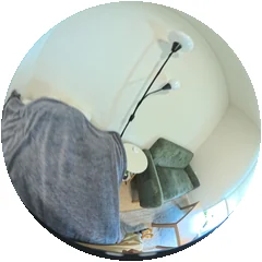 Front fisheye