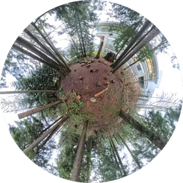 Trees